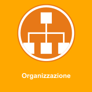 organizzazione icon